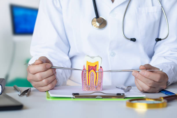 Best Emergency Dentist for Knocked-Out Tooth in South Whitley, IN